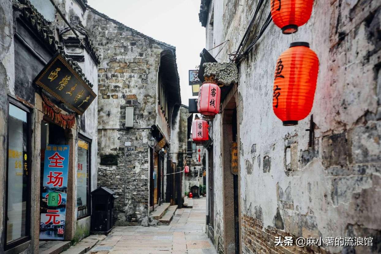 如何腌萝卜游戏画面
